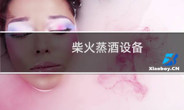 柴火蒸酒设备