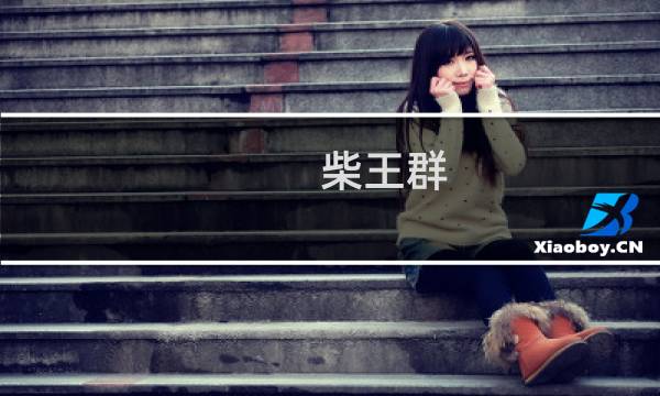 柴王群(关于柴王群的简介)
