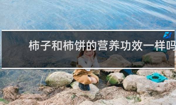 柿子和柿饼的营养功效一样吗
