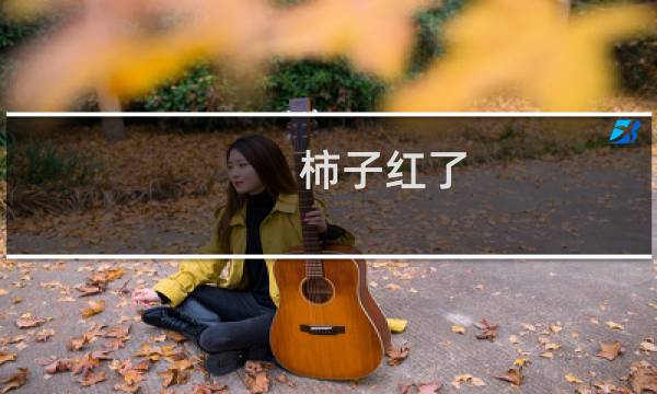 柿子红了(关于柿子红了的简介)图片
