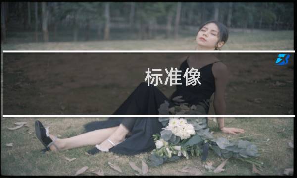 标准像(关于标准像的简介)图片