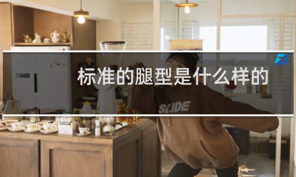 标准的腿型是什么样的
