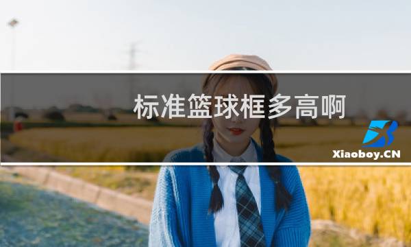 标准篮球框多高啊