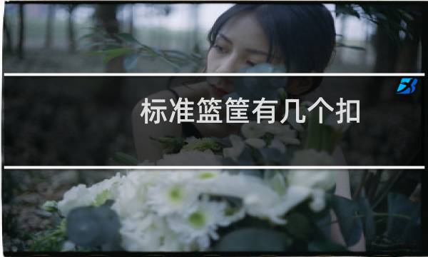 标准篮筐有几个扣