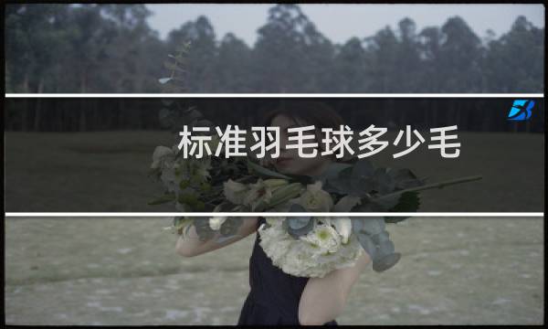 标准羽毛球多少毛