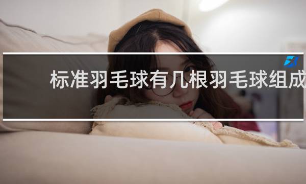 标准羽毛球有几根羽毛球组成