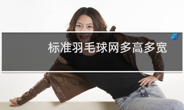 标准羽毛球网多高多宽