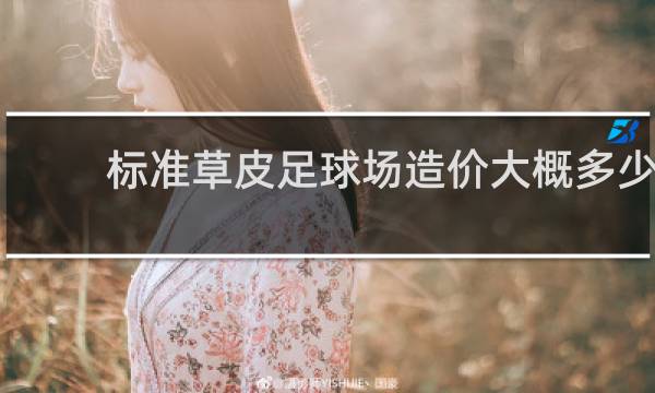 标准草皮足球场造价大概多少