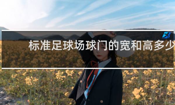 标准足球场球门的宽和高多少