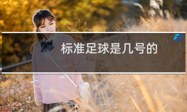 标准足球是几号的