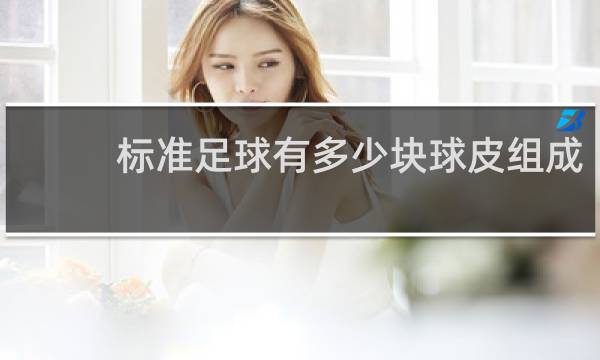 标准足球有多少块球皮组成