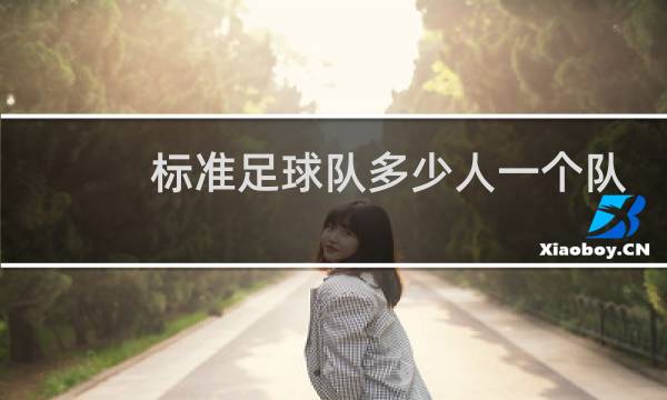 标准足球队多少人一个队