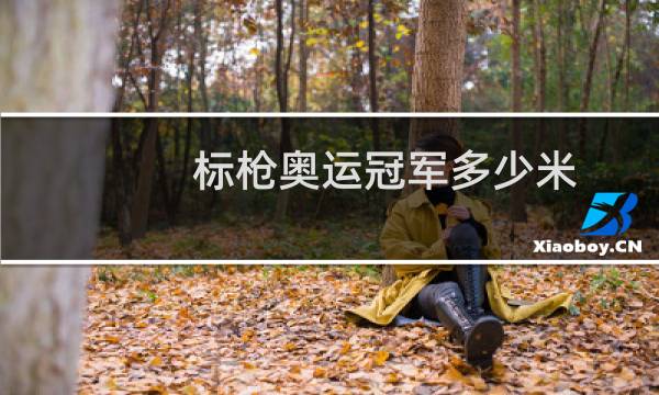 标枪奥运冠军多少米