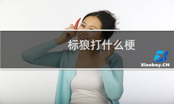 标狼打什么梗