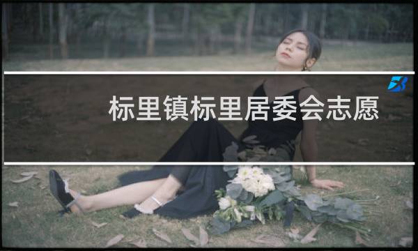 标里镇标里居委会志愿服务队(关于标里镇标里居委会志愿服务队的简介)图片