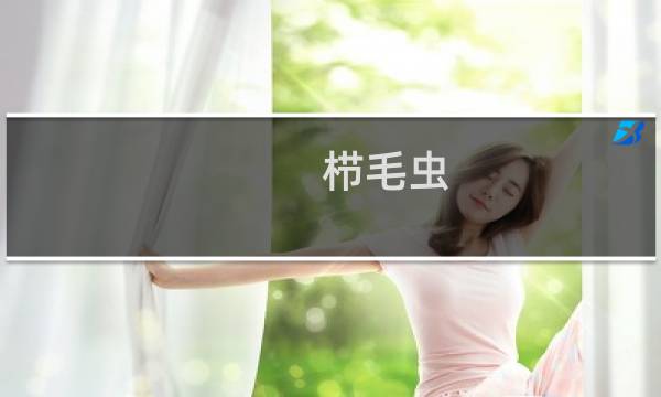 栉毛虫(关于栉毛虫的简介)