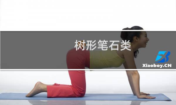 树形笔石类(关于树形笔石类的简介)图片