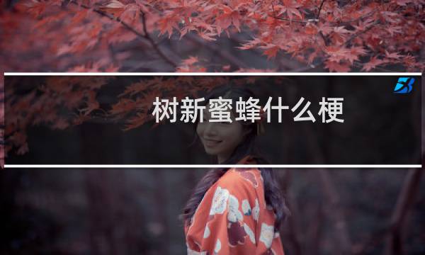 树新蜜蜂什么梗