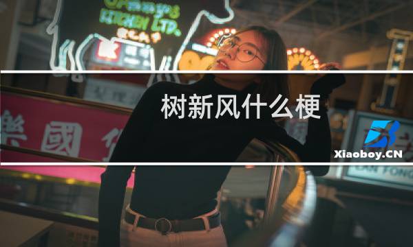 树新风什么梗