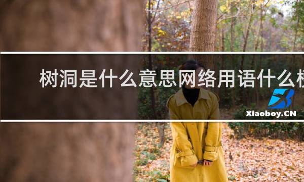 树洞是什么意思网络用语什么梗