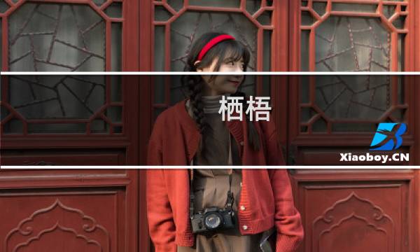 栖梧(关于栖梧的简介)