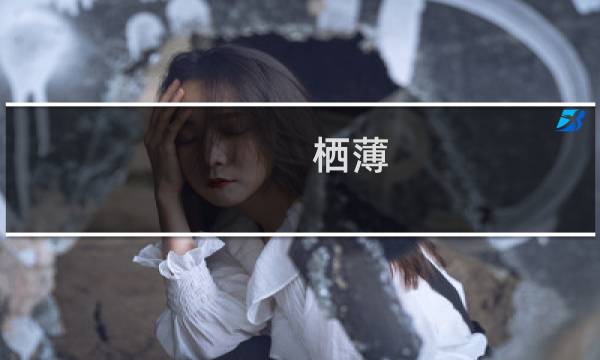 栖薄(关于栖薄的简介)