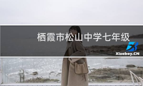 栖霞市松山中学七年级一班志愿者服务队(关于栖霞市松山中学七年级一班志愿者服务队的简介)