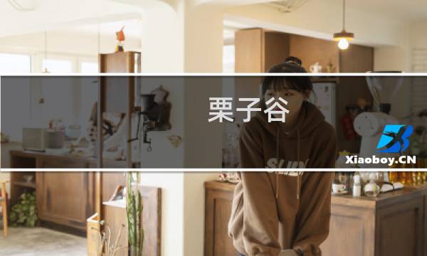 栗子谷：注音版(关于栗子谷：注音版的简介)