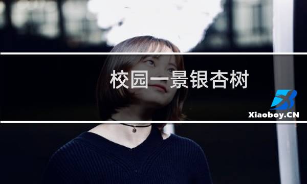 校园一景银杏树