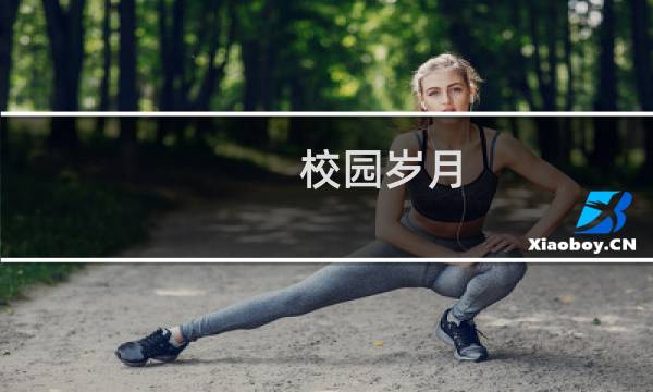 校园岁月(关于校园岁月的简介)