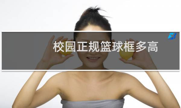 校园正规篮球框多高