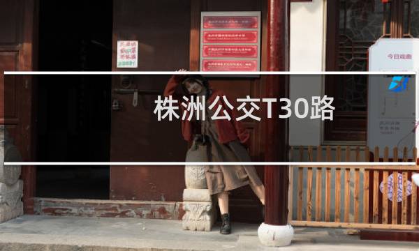 株洲公交T30路(关于株洲公交T30路的简介)图片