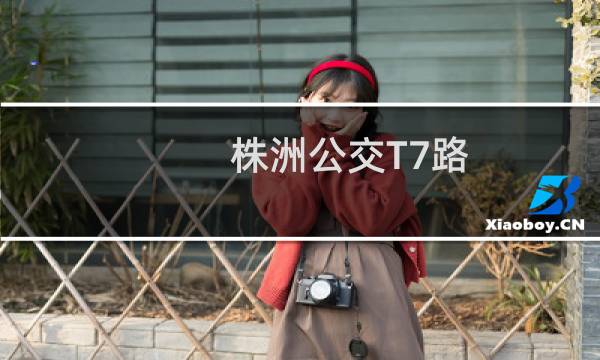 株洲公交T7路(关于株洲公交T7路的简介)图片