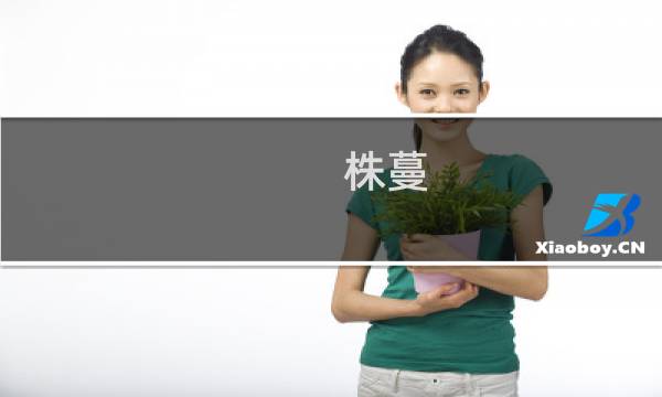 株蔓(关于株蔓的简介)