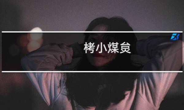 栲小煤炱(关于栲小煤炱的简介)