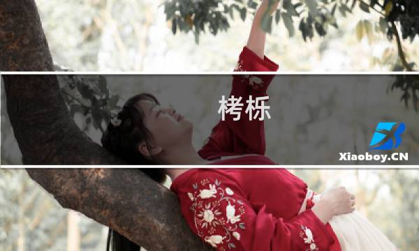 栲栎(关于栲栎的简介)图片