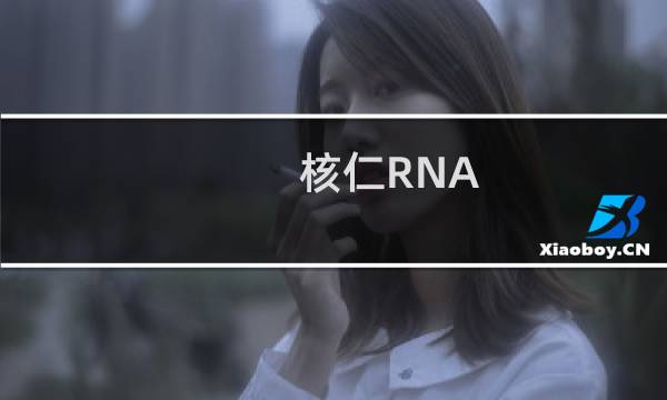 核仁RNA(关于核仁RNA的简介)图片