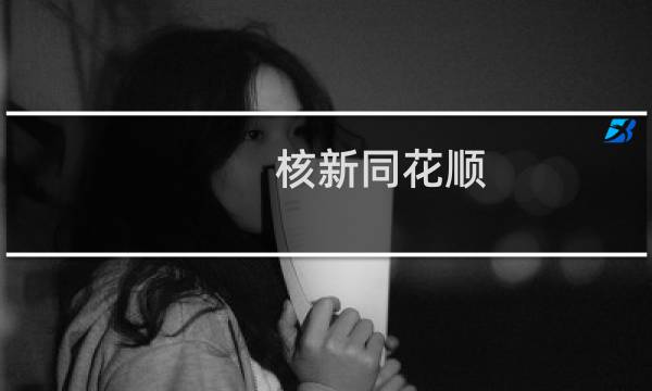 核新同花顺(关于核新同花顺的简介)
