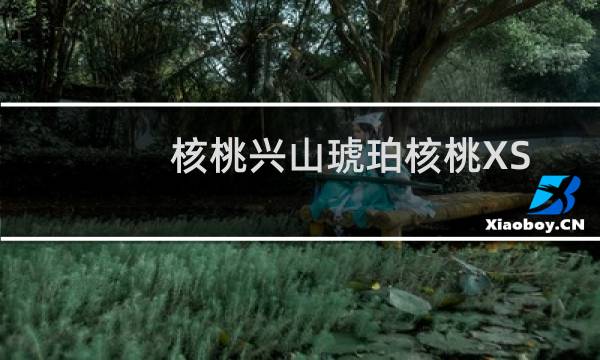 核桃兴山琥珀核桃XS(关于核桃兴山琥珀核桃XS的简介)