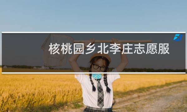 核桃园乡北李庄志愿服务队(关于核桃园乡北李庄志愿服务队的简介)图片