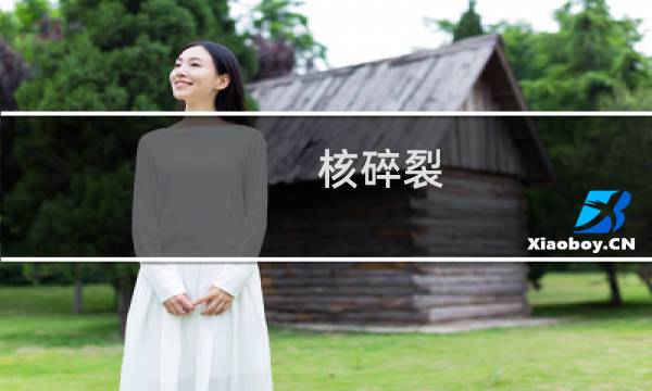 核碎裂(关于核碎裂的简介)