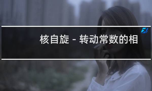 核自旋－转动常数的相对论理论(关于核自旋－转动常数的相对论理论的简介)