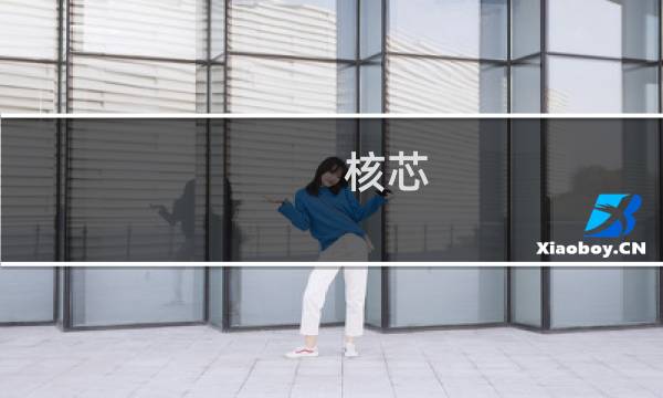 核芯(关于核芯的简介)图片