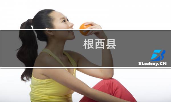 根西县(关于根西县的简介)