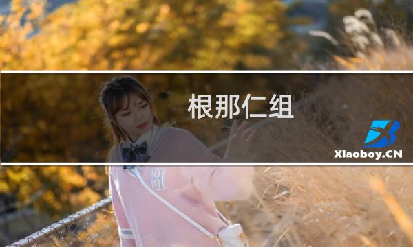 根那仁组(关于根那仁组的简介)图片