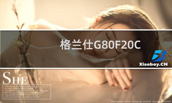格兰仕G80F20CSL-B8(关于格兰仕G80F20CSL-B8的简介)