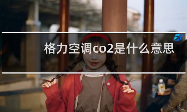 格力空调co2是什么意思