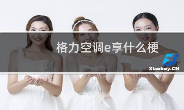 格力空调e享什么梗