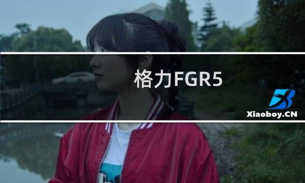 格力FGR5/C(关于格力FGR5/C的简介)图片