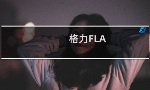 格力FLA-09B(关于格力FLA-09B的简介)图片